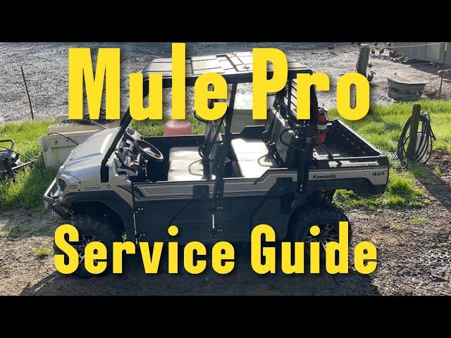 Mule Pro Complete Service Guide