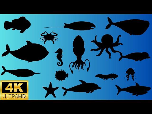 Guess the shadow of the Sea animals quiz| shadow game| learning video for kids |Family FunTime!