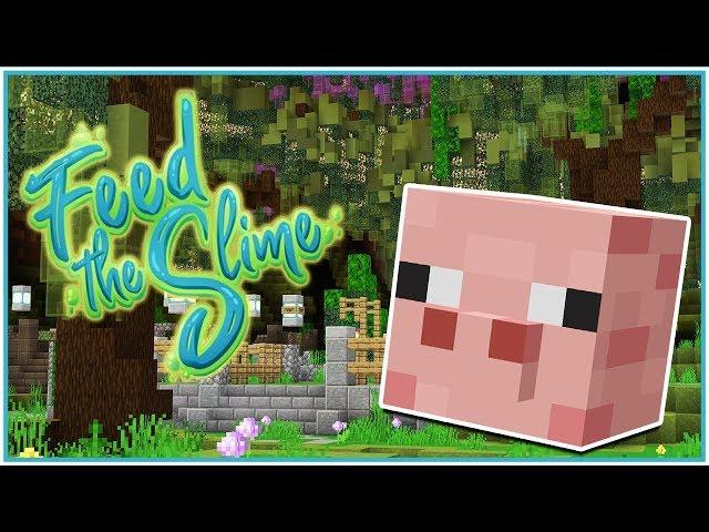 Slime Rancher Kalandpálya! - Minecraft Feed the Slime