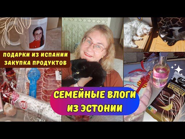 Жизнь в Эстонии.Семья из Таллинна.Сюрприз от мужа.Закупка продуктов.Подарки от дочки из Испании.Влог