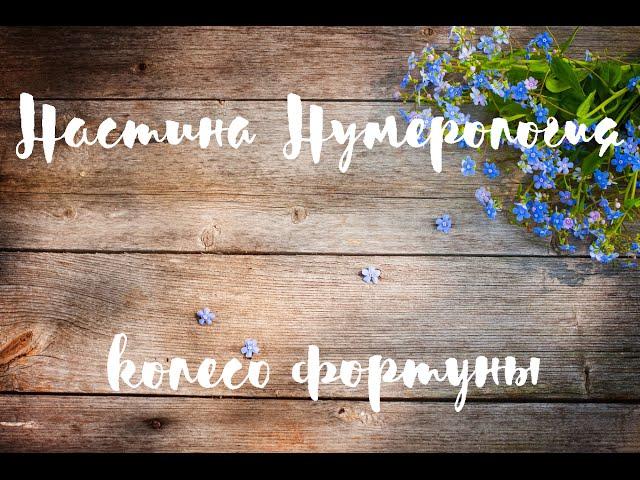 нумерология, настя фэмма, колесо фортуны, 10 - 21