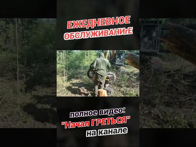 Ежедневное ТО #лесозаготовка #харвестер #форвардер