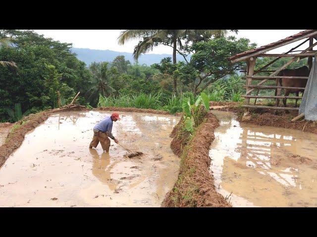 ADEM AYEM ‼️ PETUALANGAN ALAM DI PEDESAAN KE KAMPUNG PESAWAHAN SUPER INDAH NYAMAN BIKIN BETAH