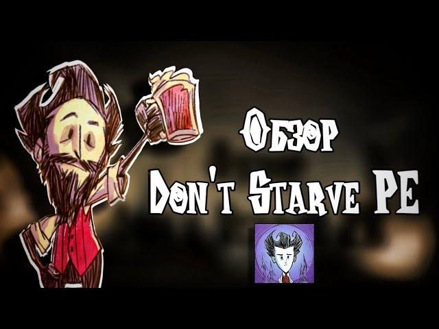 Обзор Don't Starve pocket edition | Gordon