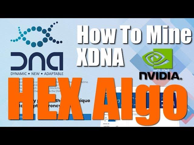 How To Mine XDNA - HEX Algo Using Z Enemy Miner For Nvidia GPUs