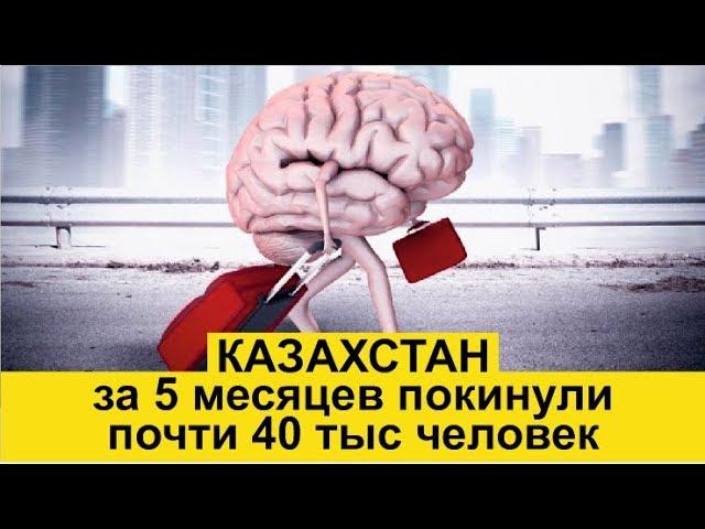 Почему граждане Казахстана уезжают из страны?