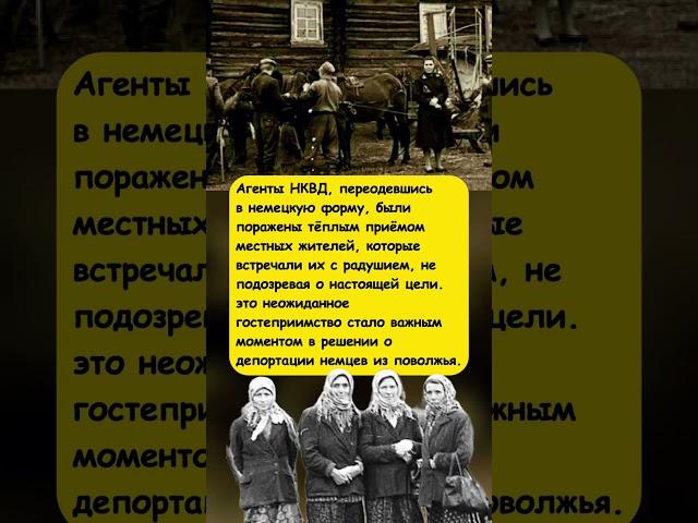 «ХАЙЛ ГИТЛЕР!» — АГЕНТЫ НКВД ЗАШЛИ В ДЕРЕВНЮ ПОД ВИДОМ НЕМЦЕВ… #ссср #интересныефакты #вов #история