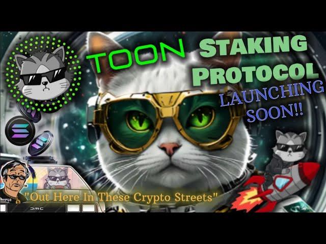 The Toon Club Ecosystem On Solana | $Toon Token & ROI Staking Pool Launch Soon!! (Postponed)