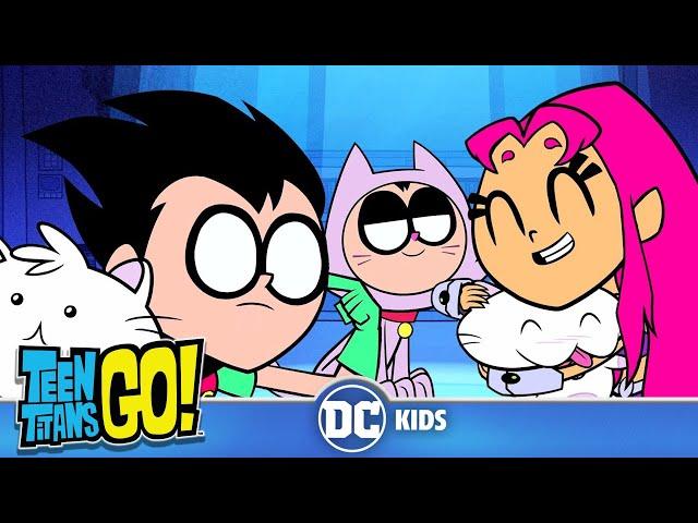 Teen Titans Go! auf Deutsch | Weitere Katzen Katzen Katzen  | DC Kids