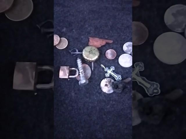 поиск золота на пляже металлоискателем