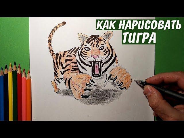 How to draw a TIGER. Pencil drawing / Just drawing