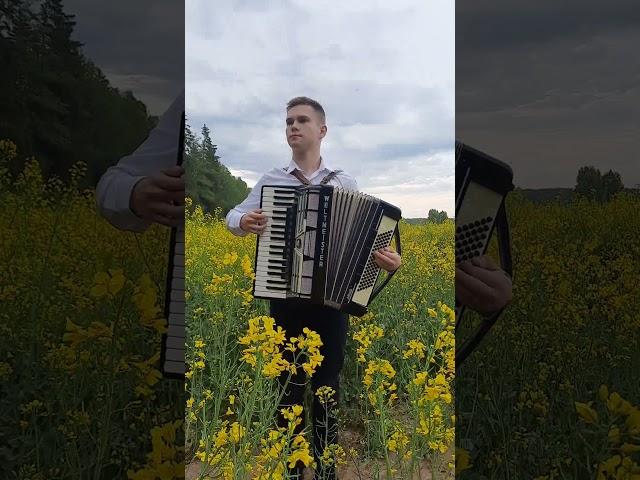 #accordion #music #cover #oskarrulov