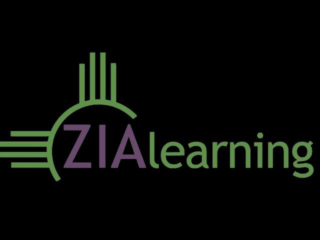 Zia Framework Domain 1: Coach