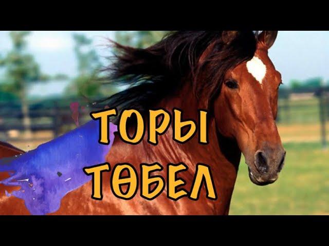 ТОРЫ ТӨБЕЛ