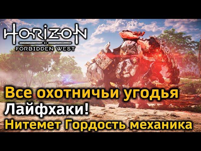 Horizon Forbidden West | Все охотничьи угодья | Лайфхаки | Как получить нитемет Гордость механика