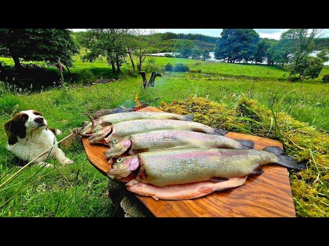 SECRETS OF WILD CUISINE: Catch Trout with HANDS and Cook in the Wilderness | ASMR Relaxing