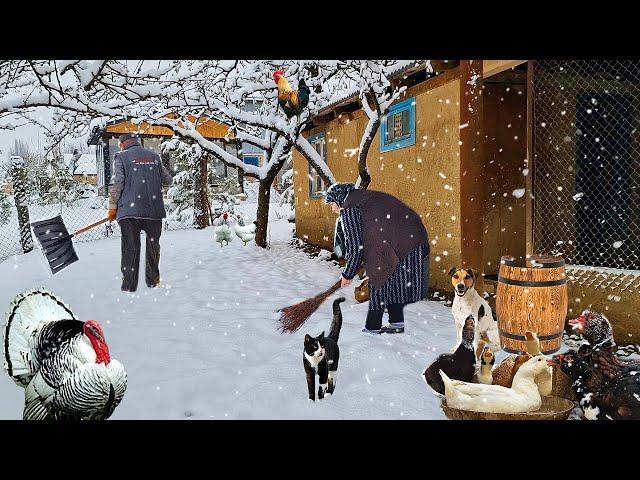 It's Snowing in Azerbaijan's Mountain Village. Shahdag Mountain Resort.