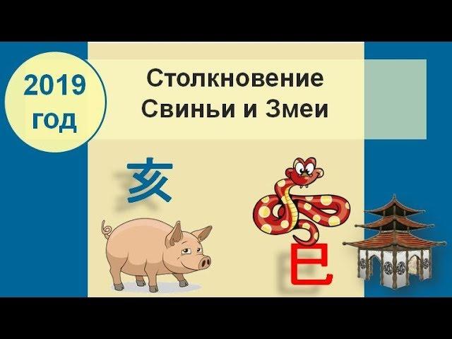 Столкновение Свиньи и Змеи в 2019 году часть 1