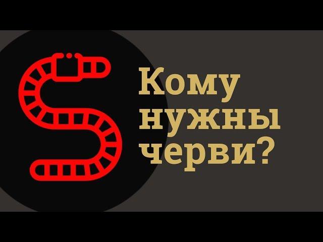 Кому нужны черви?  Дендробена Калилфорнийский червь Старатель Купить червей Домаший червь travart.ru