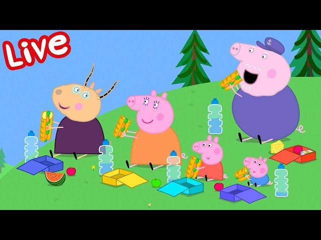 Peppa Wutz LIVE 2024  Ganze Episoden | Cartoons für Kinder | Peppa Wutz Neue Folgen 24/7