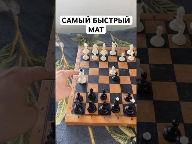 Самый быстрый мат в шахматах не один. #Шахматы