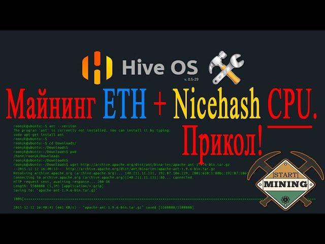 Hive OS 2 0  ETH + Nicehash CPU майнинг. Прикол