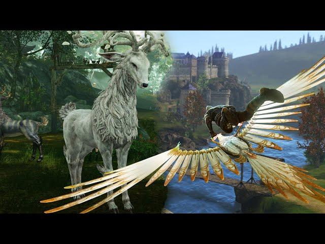 Archeage: how to get your first Mount/Glider