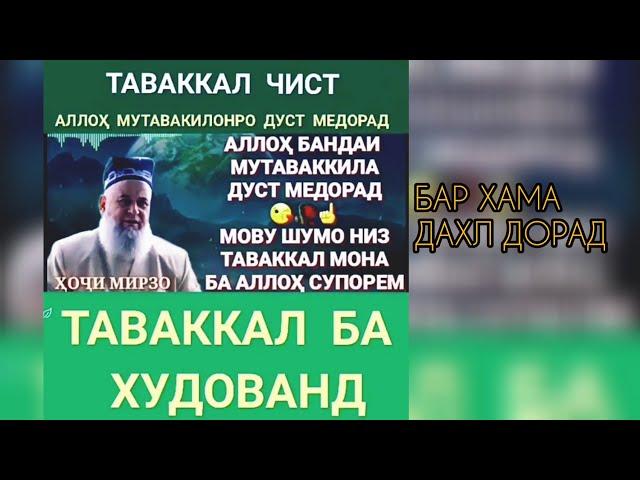 Хочи Мирзо Тавакал чист ? 2020 ما هي المخاطر؟