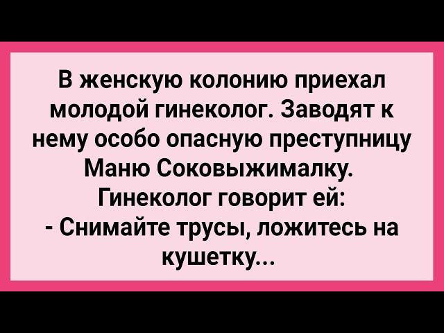 Молодой Гинеколог и Опасная Маня в Женской Колонии! Сборник Свежих Смешных Жизненных Анекдотов!