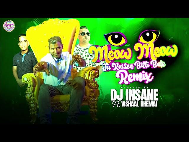 Meow Meow Tu Kaisen Billi Bate Remix || DJ Insane ft. Vishaal Khemai || Witti Visie || BaithakKawina