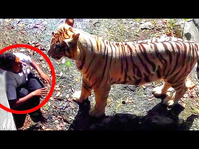 NEAR DEATH CAPTURED...!!! [Pt. 3] | Ultimate Near Death Video Compilation 2022 | Fail Department