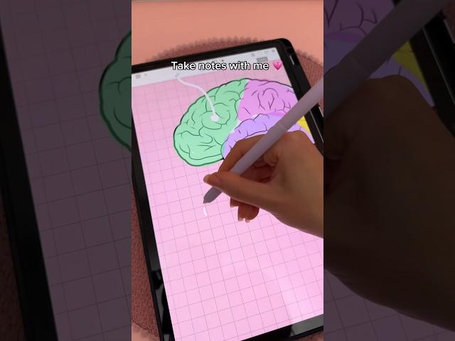 Take notes with me  Digital note taking | Samsung galaxy tab S9 | Penly app ️