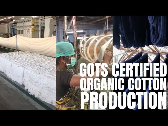 How GOTS Certified Organic Cotton Is Made | An Overview Of The Organic Cotton Production