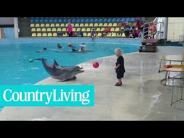 Adorable Toddler Plays Fetch With Playful Dolphin | Country Living