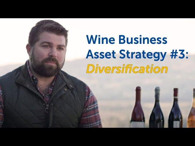 Wine Business Asset Strategy #3: Diversification | Business of Wine Video Series