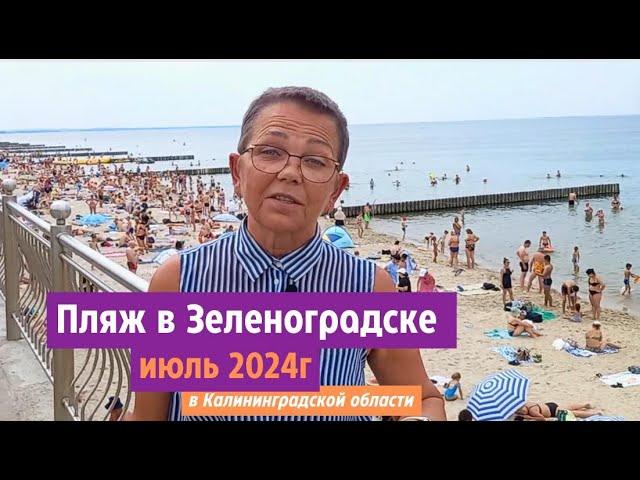 Пляж в июле 2024 года. Зеленоградск Калининградской области.