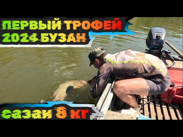 Трофейный САЗАН 2024. Рыбалка в Астрахани река Бузан.