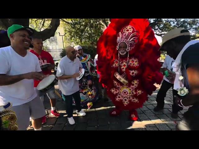 Black Masking Indians Cultural Showcase Part 1 Big Chiefs David, Corey, Dowee& Romeo