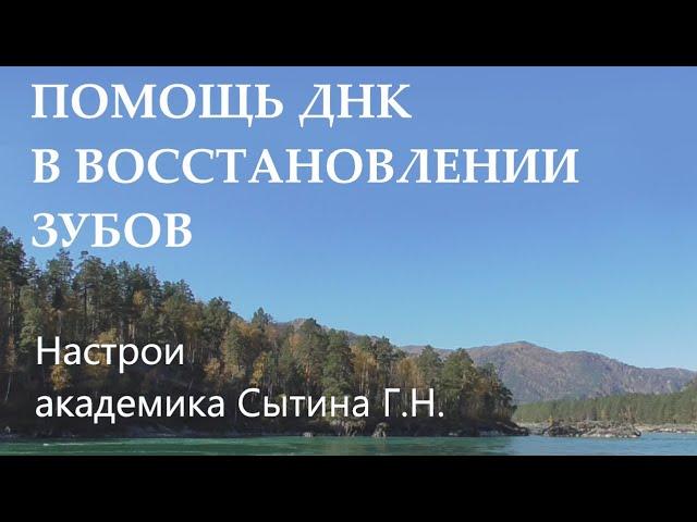 Помощь ДНК в восстановлении зубов  Настрои академика Сытина Г.Н.