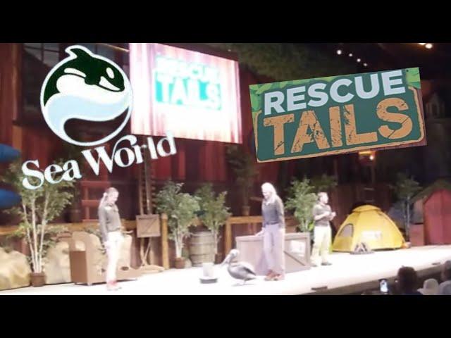 Rescue Tails SeaWorld Orlando Full Theater Show 2024 Florida Conservation Educational Presentation