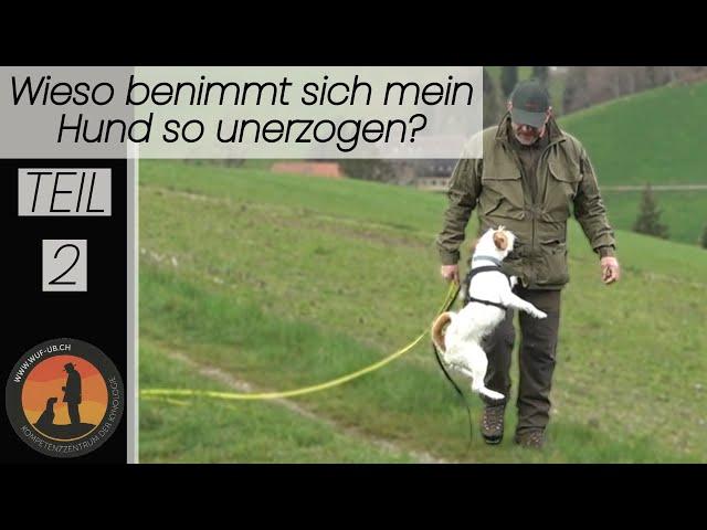 Hundeerziehung „Bindung“ Geheimrezept nicht nur für den Abruf | Hundeschule U.B.