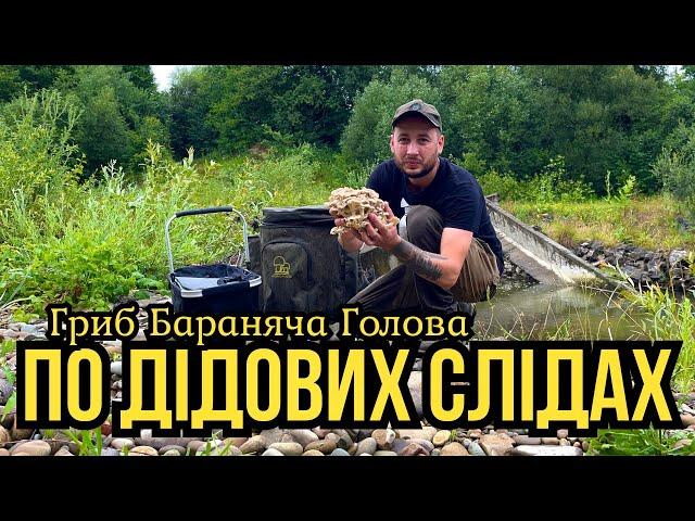 Трофейний Збір!!! Цей гриб знаходжу вперше!!!