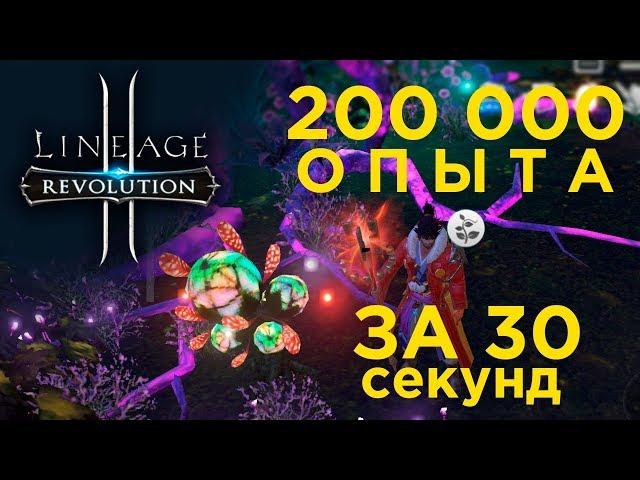 [Lineage 2 Revolution] - Получаем 200к опыта ЛайфХаки Выпуск 1