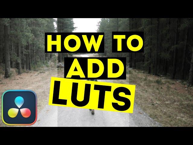 How To ADD LUT in Davinci Resolve 19 (tutorial)