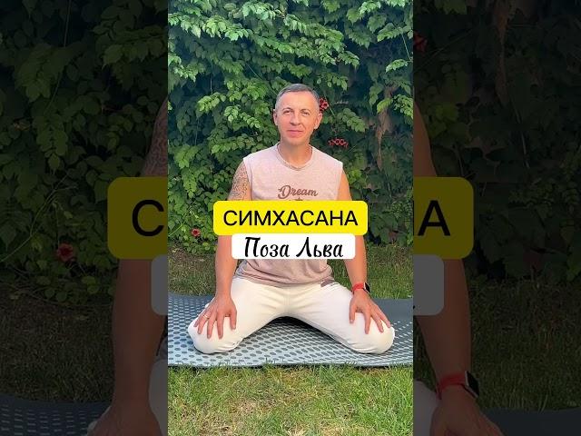 СИМХАСАНА/поза Льва