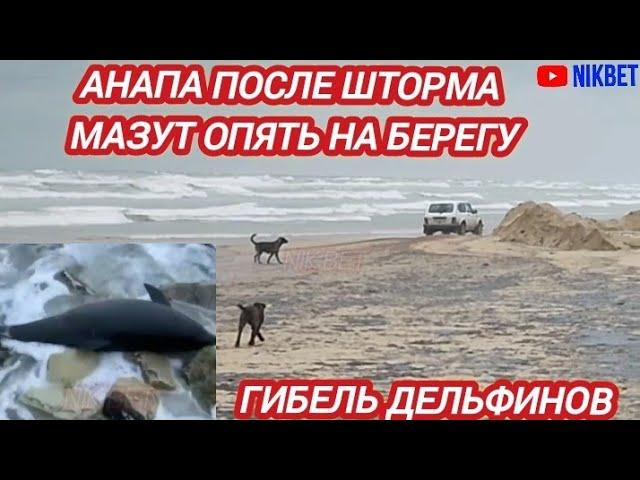 ‼️АНАПА ПОСЛЕ ШТОРМА.... ВСЁ НАЧИНАТЬ СНАЧАЛА. МАЗУТ ВНОВЬ НА БЕРЕГУ