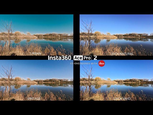 Insta360 Ace Pro 2 HDR Color Profiles at Cottonmill Lake | Leica Filters