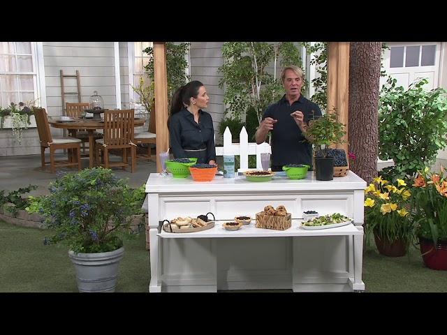 Cottage Farms Twice as Nice Sweetheart Blueberry on QVC