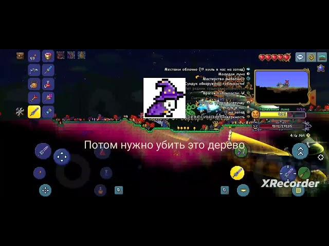 как получить метлу ведьмы в террарии