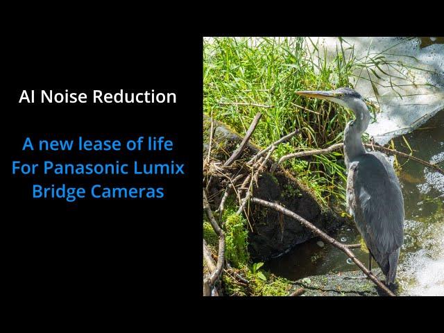 A new lease of life for Panasonic Lumix Bridge Cameras